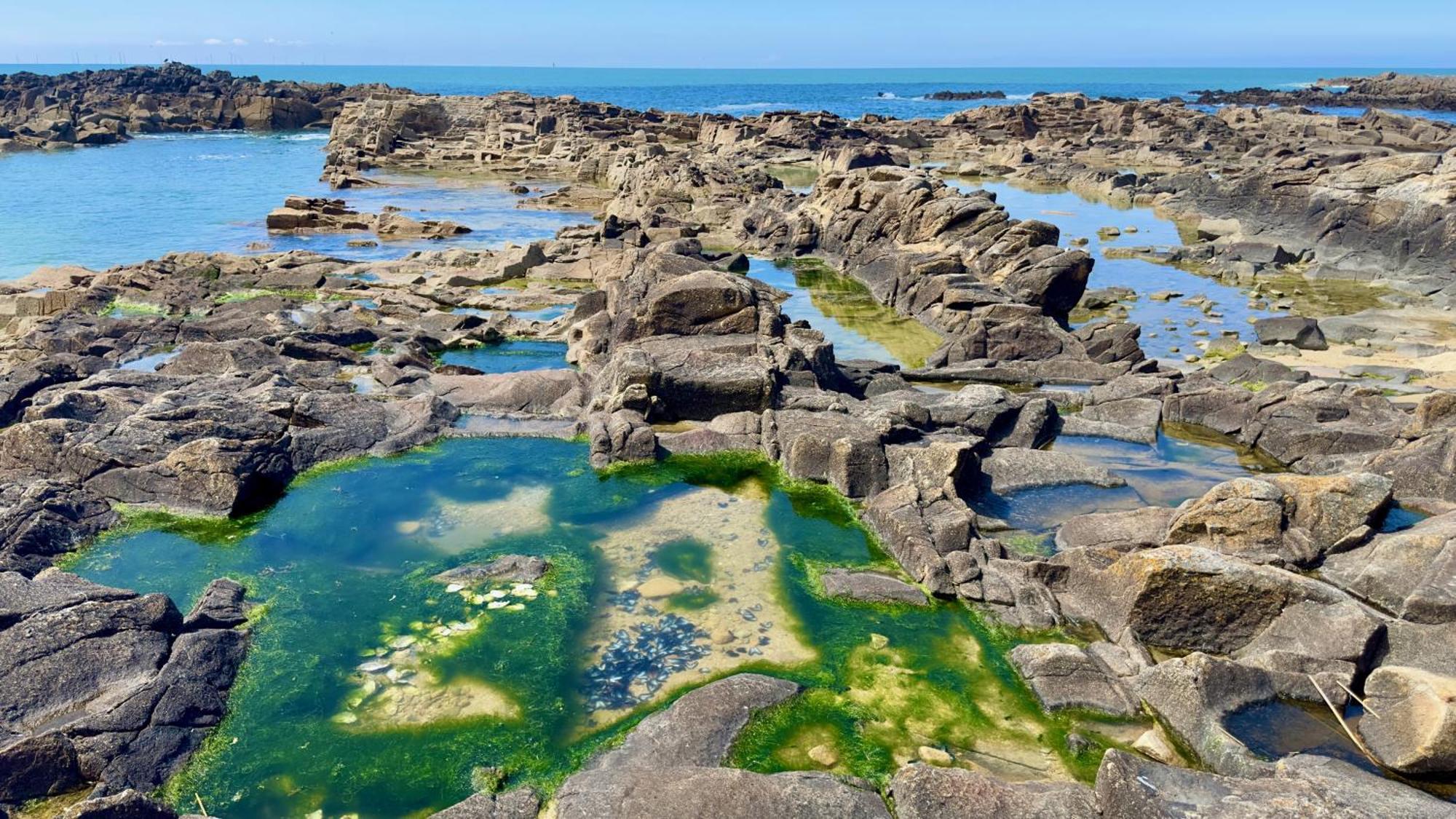 Hotel L'Albatros Le Pouliguen Zewnętrze zdjęcie
